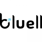 Bluell | Best Web Design Company in Sweden