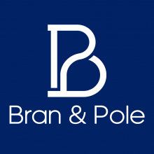 Bran & Pole LLC | Best AR/VR Development Company in Germany