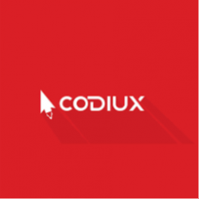 CodiuX Private Limited | Best Other IT Consulting Company in Pakistan