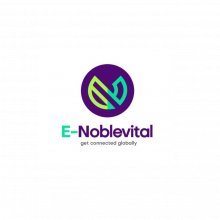 E-Noblevital Inc | Best Other IT Consulting Company in Nigeria