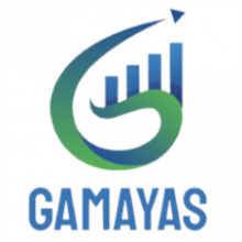 GAMAYAS TECHNOLOGY SERVICES PVT LTD | Best Wearable App Development Company in Netherlands