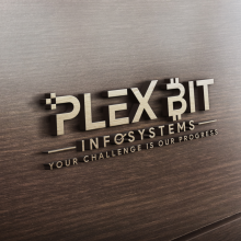 Plex Bit Infosystems | Best Web Design Company in Netherlands