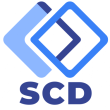 SCD Company | Custom Software Development | Best Packaging Design Company in Armenia