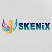 Skenix Infotech