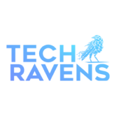 The Tech Ravens | Best SMM Company in Noida, Uttar Pradesh | Top Game Development Companies